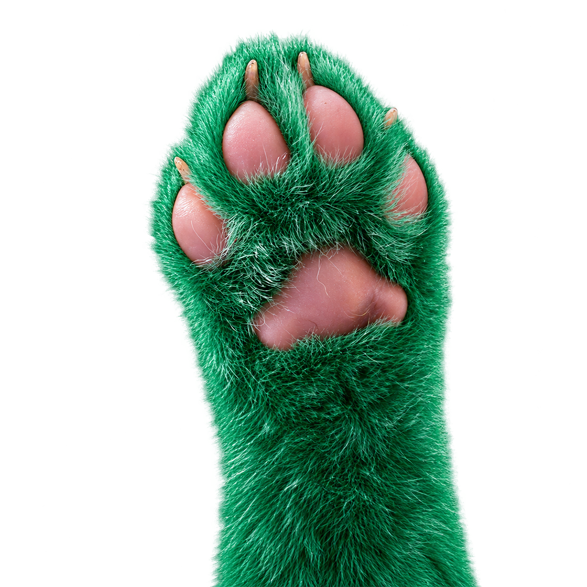 Dekoracyjny element tła Green Wolf Studio
